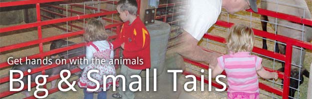 Big & Small Tails